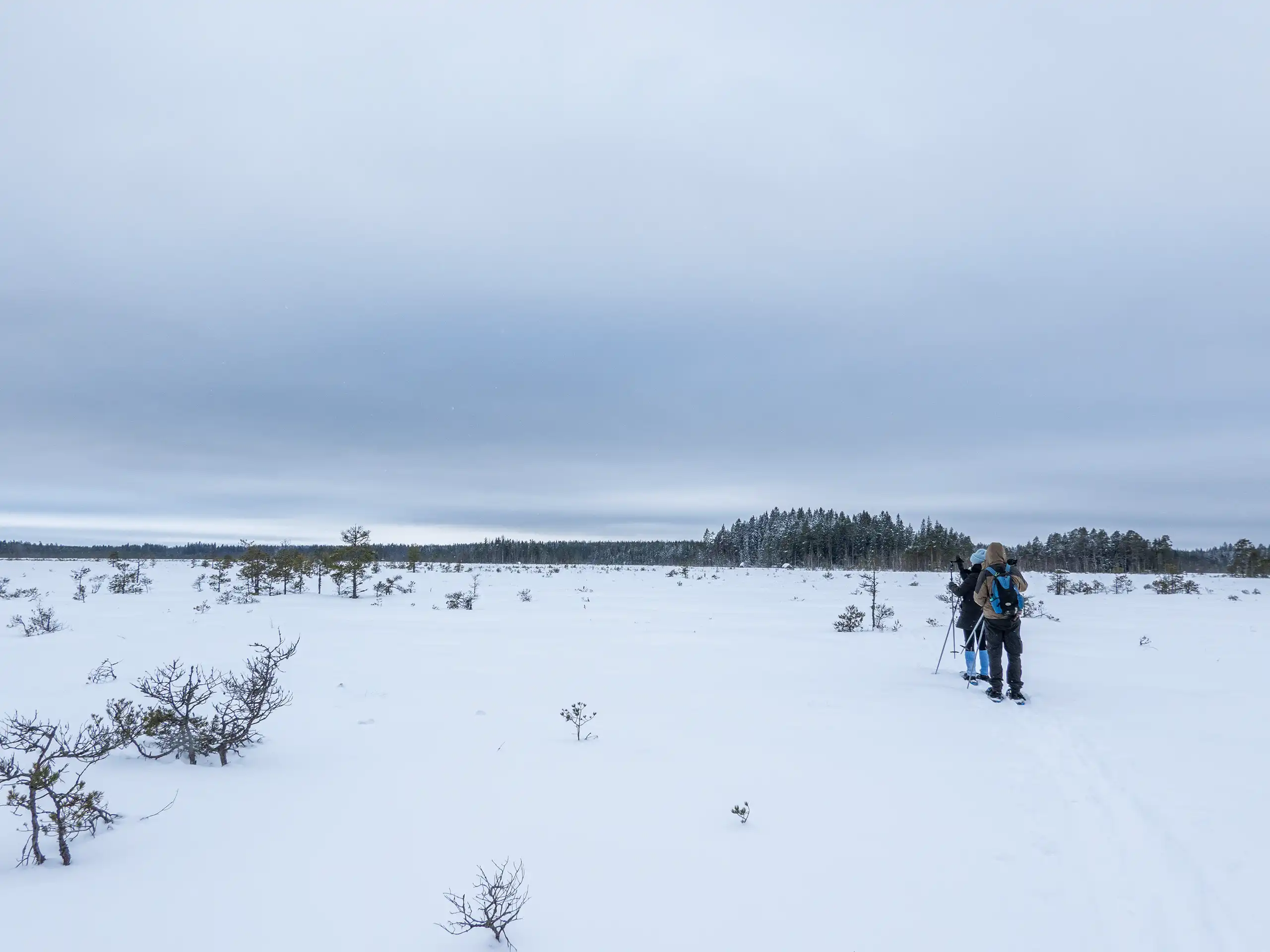 Lumikenkäilijöitä Valkmusan kansallispuistossa talvella